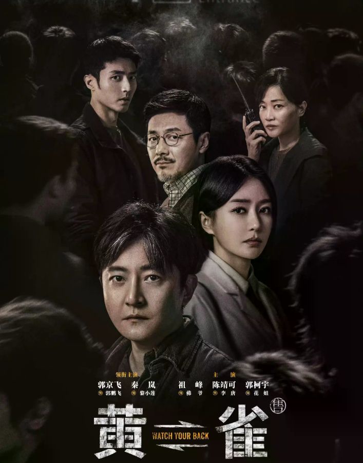 黄雀电视剧全集高清完整版网盘资源在线免费下载剧照