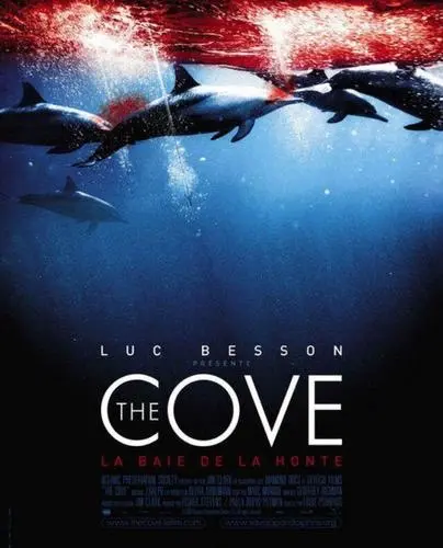 海豚湾电影高清完整版网盘资源在线免费下载剧照