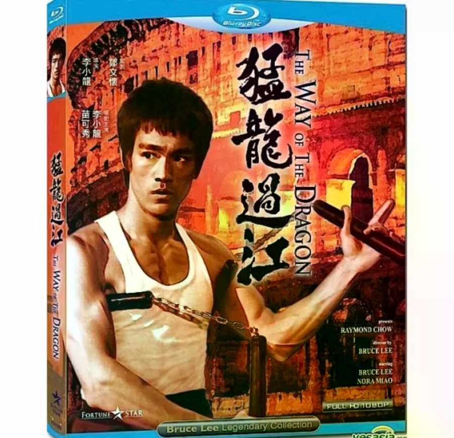 猛龙过江电影高清完整版网盘资源在线免费下载剧照