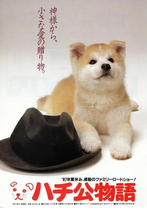 忠犬八公物语电影高清完整版网盘资源在线免费下载剧照