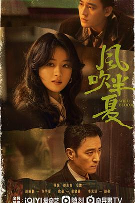 风吹半夏电视剧全集高清完整版网盘资源在线免费下载剧照