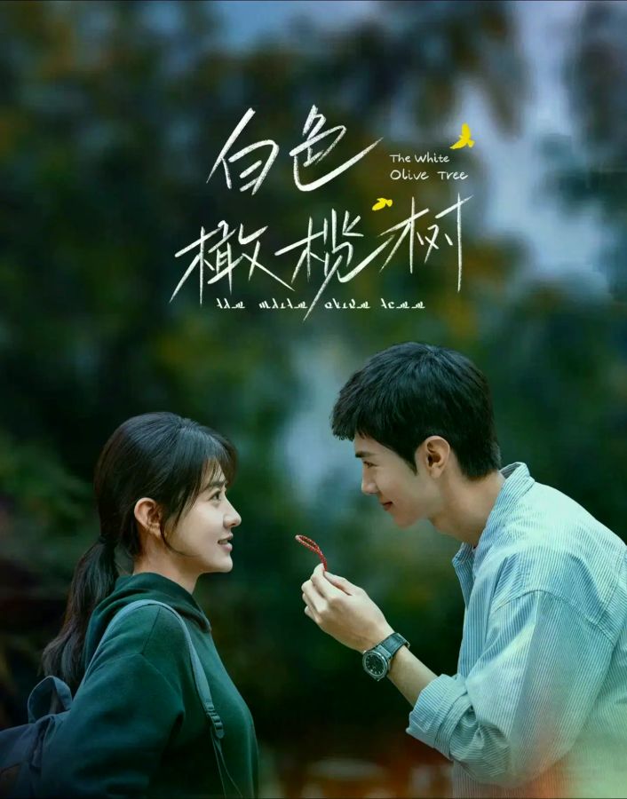 白色橄榄树电视剧全集高清完整版网盘资源在线免费下载剧照