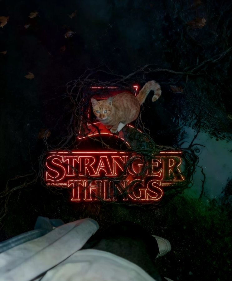 怪奇物语 第一季电视剧全集高清完整版网盘资源在线免费下载剧照